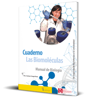 Cuaderno las Biomoléculas